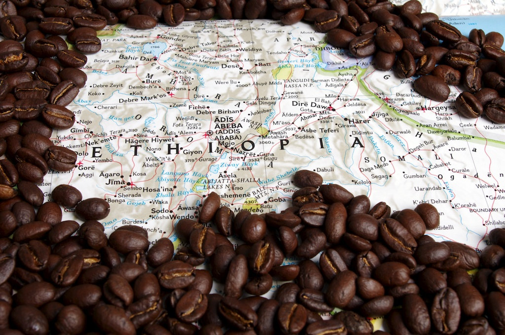 【衣索比亞耶加雪菲咖啡豆】照片引用自Colony Art網站